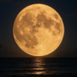 Superlua rara ilumina o céu nesta quinta-feira e só voltará a aparecer em 2042 Superlua brilhante surgindo sobre o mar durante a noite, refletindo luz dourada na água, em fenômeno astronômico raro observado em 4 de dezembro de 2025.