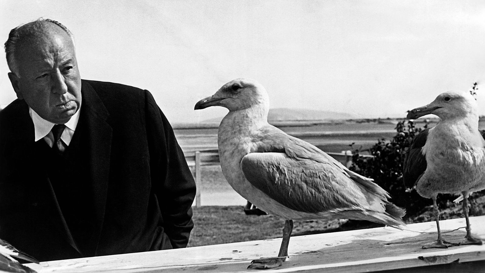 Alfred Hitchcock, um dos grandes diretores do cinema que revolucionaram a sétima arte