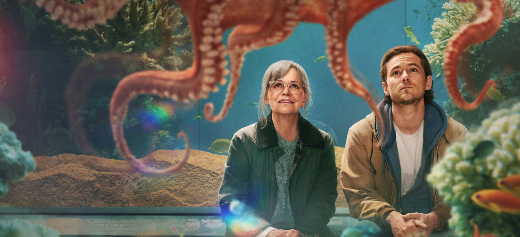 Pôsteres dos cinco filmes mais assistidos da Netflix em 2026